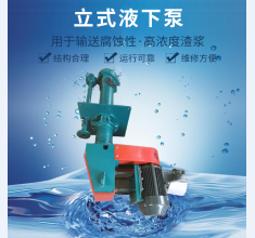 立式(shì)液下泵(bèng)