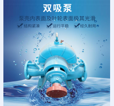 雙吸泵(beng)